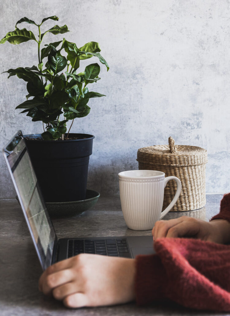 Comment utiliser Pinterest pour attirer du trafic sur votre blog ?